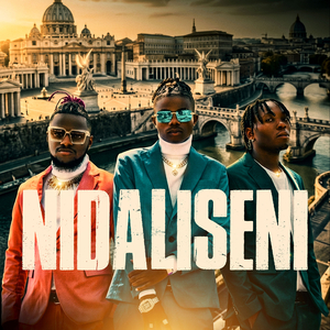 Nidaliseni