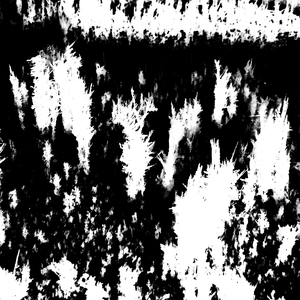 Сухая купель. Шумный морозный ветер. Трещины дёрна.