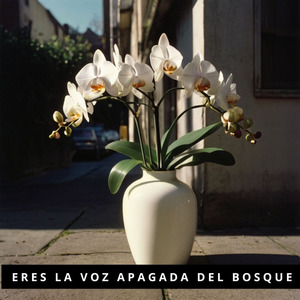 Debilidad atrapada en el viento