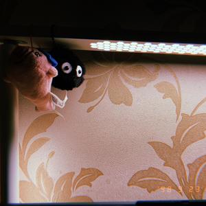 暖冬（pord.Furyl.4_Chords)