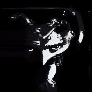 Crime / Scène (Data Animal Remix)