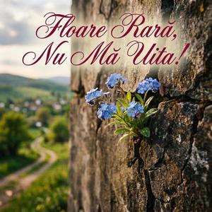 Floare Rară, Nu Mă Uita!
