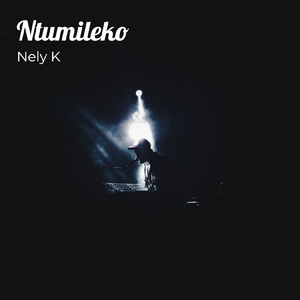 Nelly K - Driver