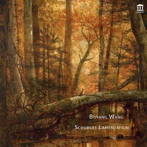 Franz Schubert-Impromptu in E-flat major, D.946 No.2（Boyang remix）