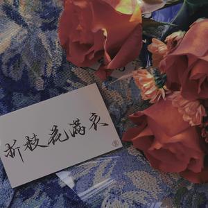 折枝花满衣