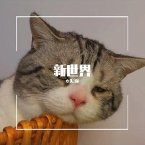 火红的撒日朗（翻自 要不要买菜）