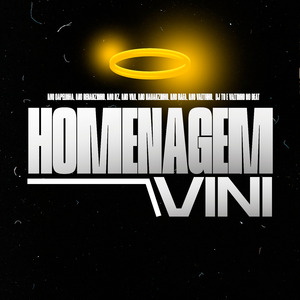Homenagem Vini