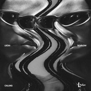 CALLING (feat. Skyflow)