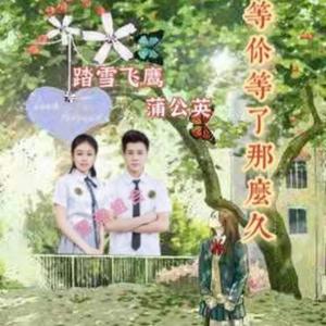 等你等了那么久（踏雪无痕、蒲公英）