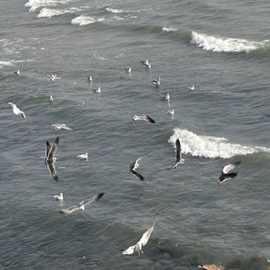 听我说（Cover.周深）