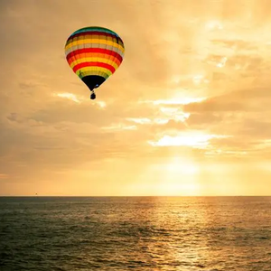 一份来自热爱的告白