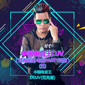 中国电音王DJV(亚洲巡演电音PARTY现场)(22)