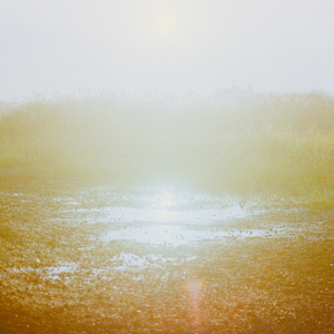 Take Me Down To Coney Island