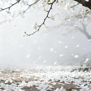梨花落尽