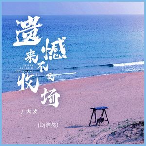 遗憾来不及收场 (DJ浩然版)