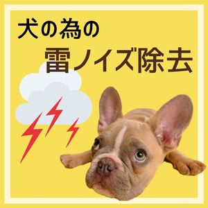 ハープのメロディー