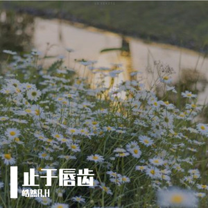 夜色美丽(伴奏）