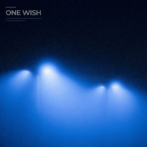 one wish