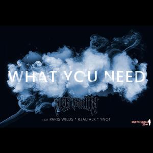 WHAT YOU NEED (feat. EZ SIXOSIX, PARIS WILDS, R3ALTALK & YNOT)