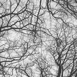 You're An Orchestra In The Cosmos (Joris Voorn Remix)