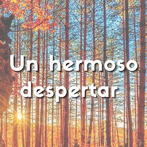 Un Hermoso Despestar