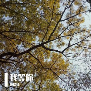 我等你