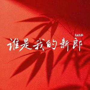 谁是我的新郎  (R&B版) (Cover 衡越)