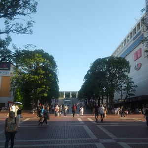 小さな夜の物語