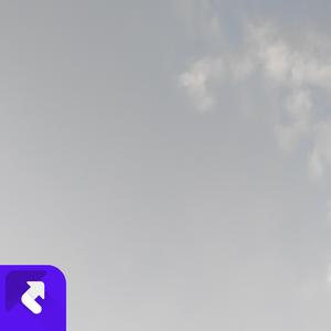 桃花灼灼（国风版）