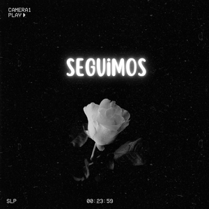 Seguimos