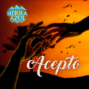 Acepto