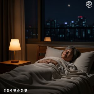 달빛 정리 루프