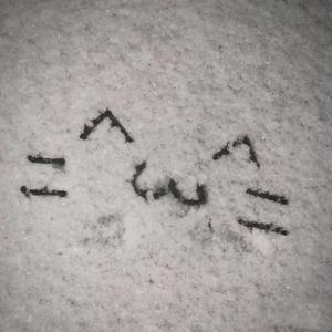 再看一眼冬日的海就释怀