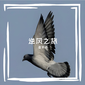 逆风之旅