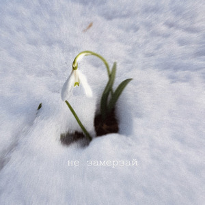 не замерзай
