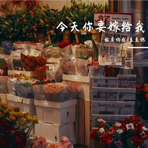 今天你要嫁给我