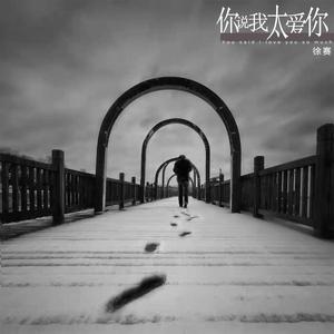 你说我太爱你