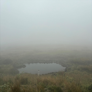 Hason Rajay Koy (feat. Prajna & Abhijit Kundu)