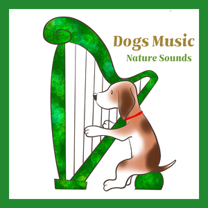 크라이슬러 : 사랑의 기쁨 (빗소리)