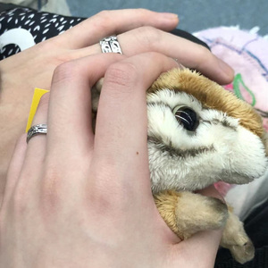 Love is always the answer