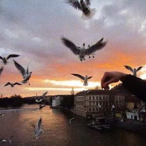 醒不来的梦_陈艺伊.（翻自 回小仙）