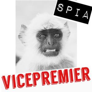 Vicepremier