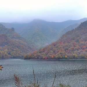 你会不会路过我的明天