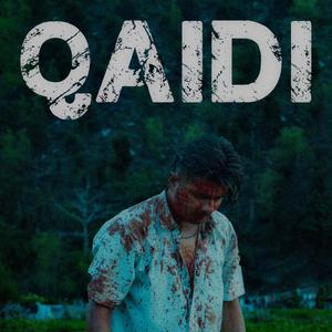 Qaidi