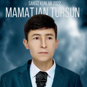 Sansiz Kunlar(没有你的日子)