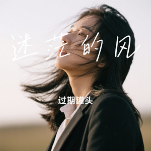 迷茫的风