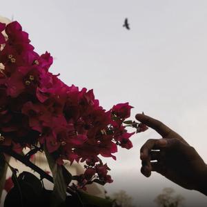 HRIDAYAME NEE HRIDAYAME