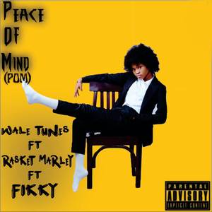 Peace Of Mind (POM)