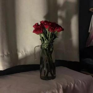 没人会拒绝温柔