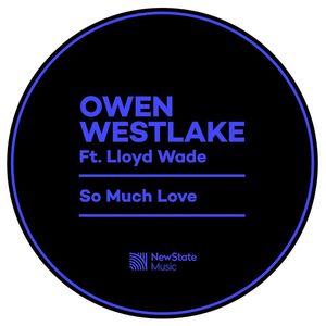 So Much Love (feat. Lloyd Wade)